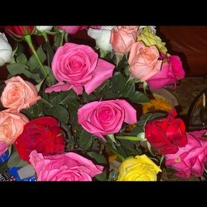 Meet your Posher, Lejla